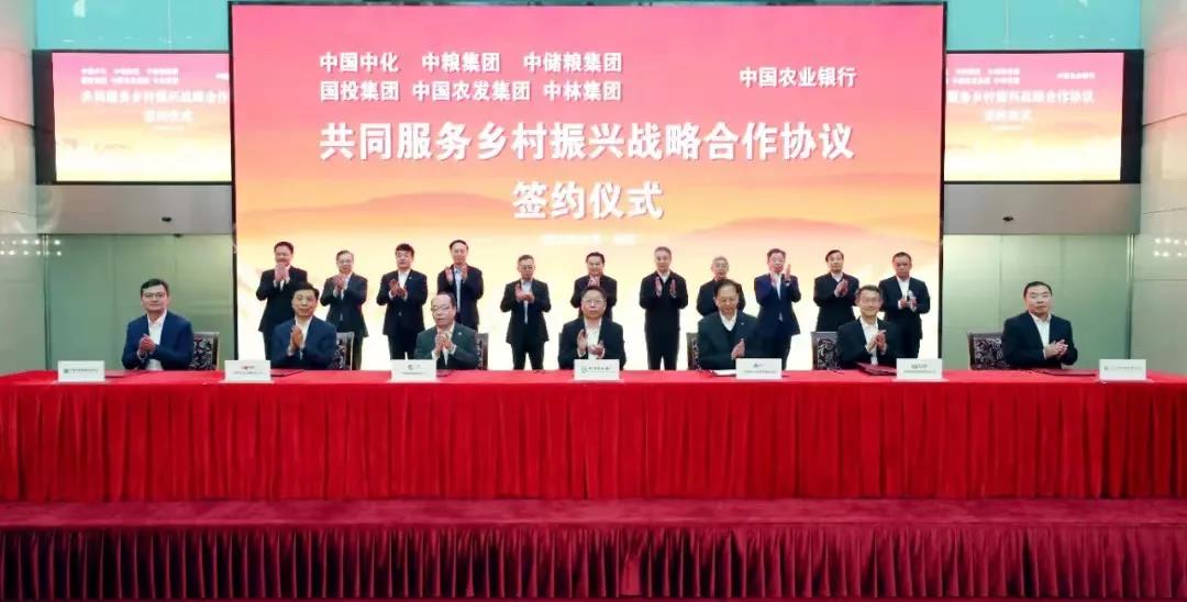 中林集团与中国农业银行签署共同服务乡村振兴战略合作协议(图1)