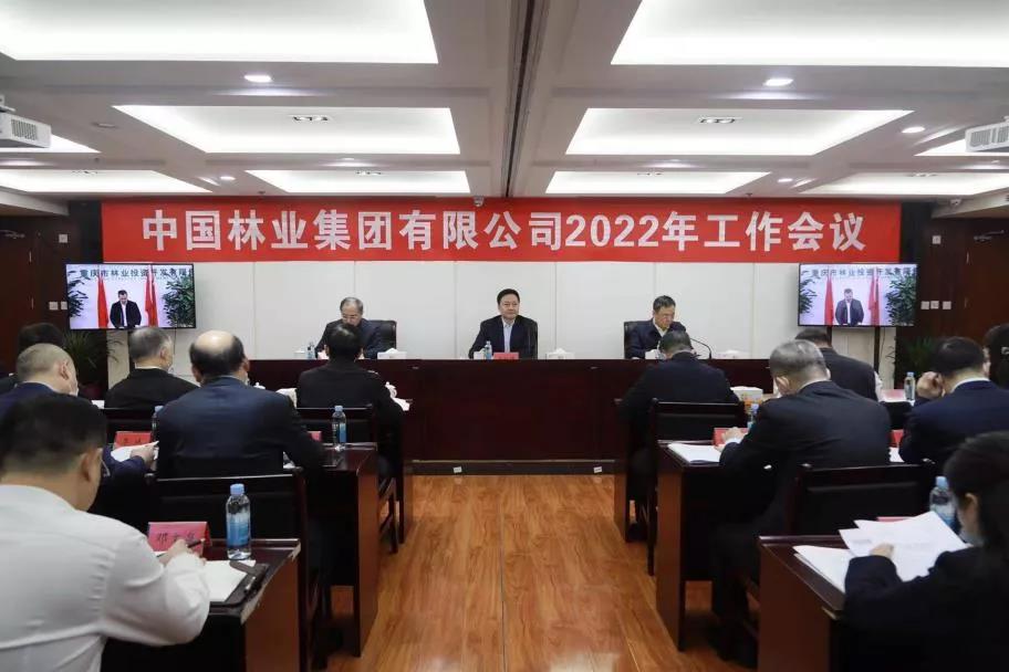 砥砺奋进、勇毅前行，以高质量转型推动高质量发展 —中林集团召开2022年工作会议(图1)