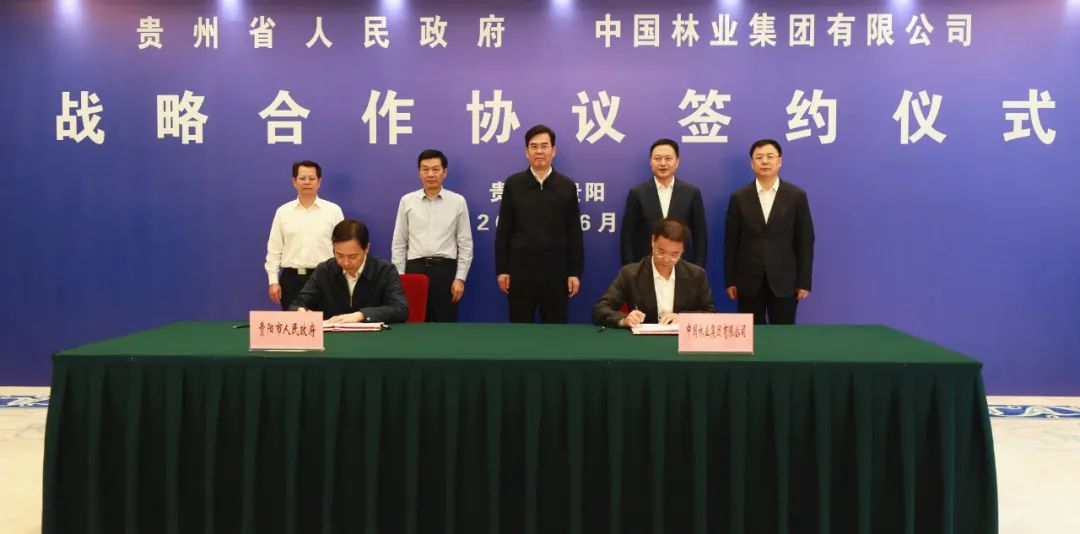中林集团与贵州省人民政府签署战略合作协议(图4)