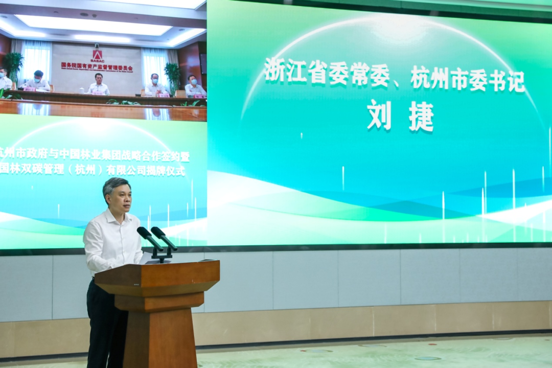 中林集团与杭州市政府举行战略合作签约暨双碳平台揭牌仪式(图2)