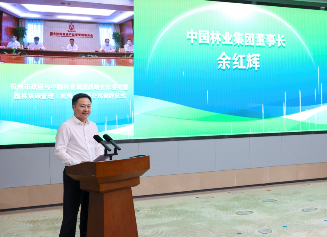 中林集团与杭州市政府举行战略合作签约暨双碳平台揭牌仪式(图3)