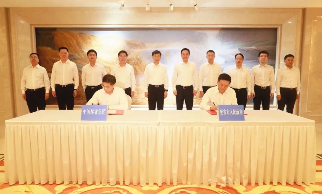 中林集团与延安市人民政府签署战略合作协议(图3)
