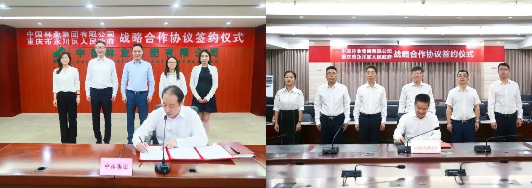 中林集团与重庆市永川区人民政府签署战略合作协议(图1)