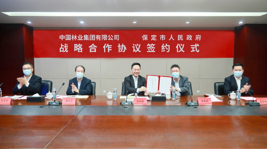 中林集团与保定市人民政府签署战略合作协议(图1)