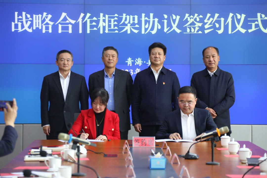 中林集团与青海省海南州政府签订战略合作协议(图3)