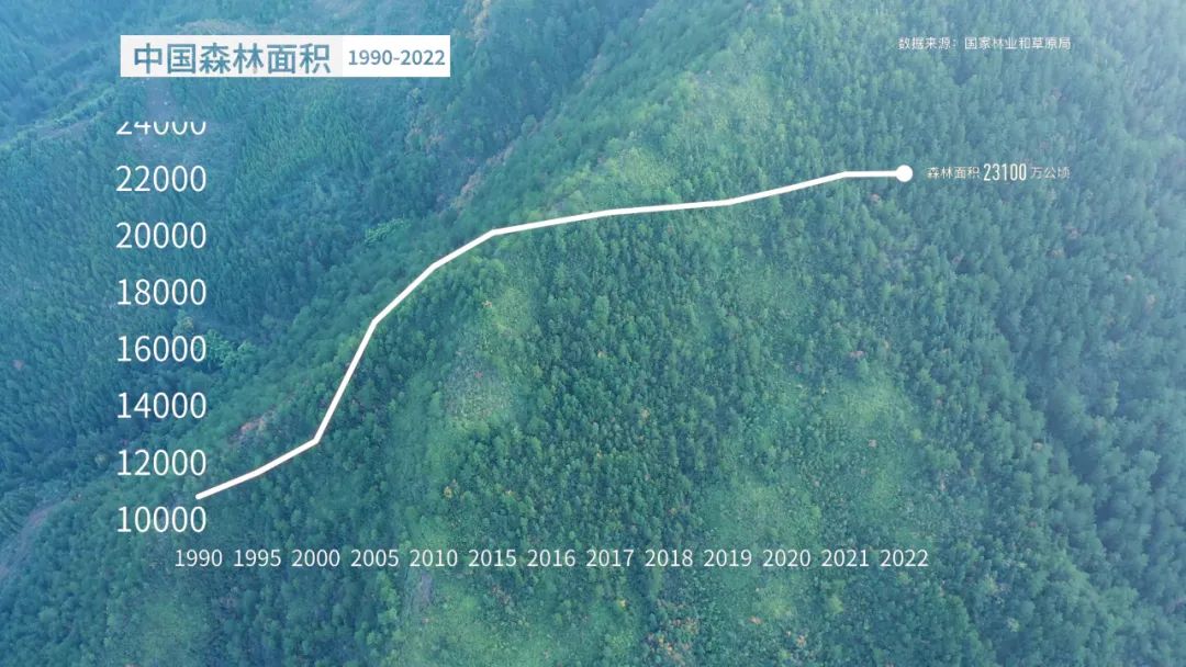 多项世界第一，中国林业当仁不让(图2)