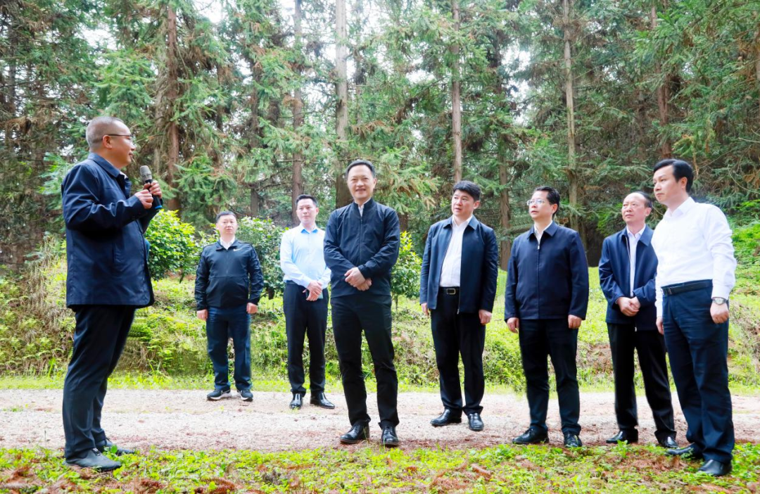 余红辉为中林（贵州）集团揭牌，并出席中林贵州国家储备林项目开工仪式(图5)