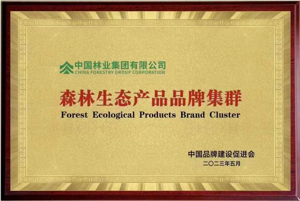中林集团受邀出席中国品牌日系列活动并参加森林生态产品品牌集群授牌仪式(图3)